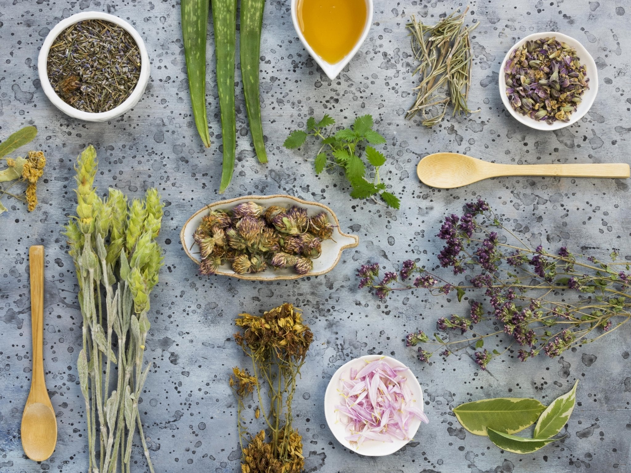🌿 The Secret Garden of Glimmer Goddess®: Medicinal Plants That Power Our Skincare 🌸 - Glimmer Goddess® Organic Skin Care