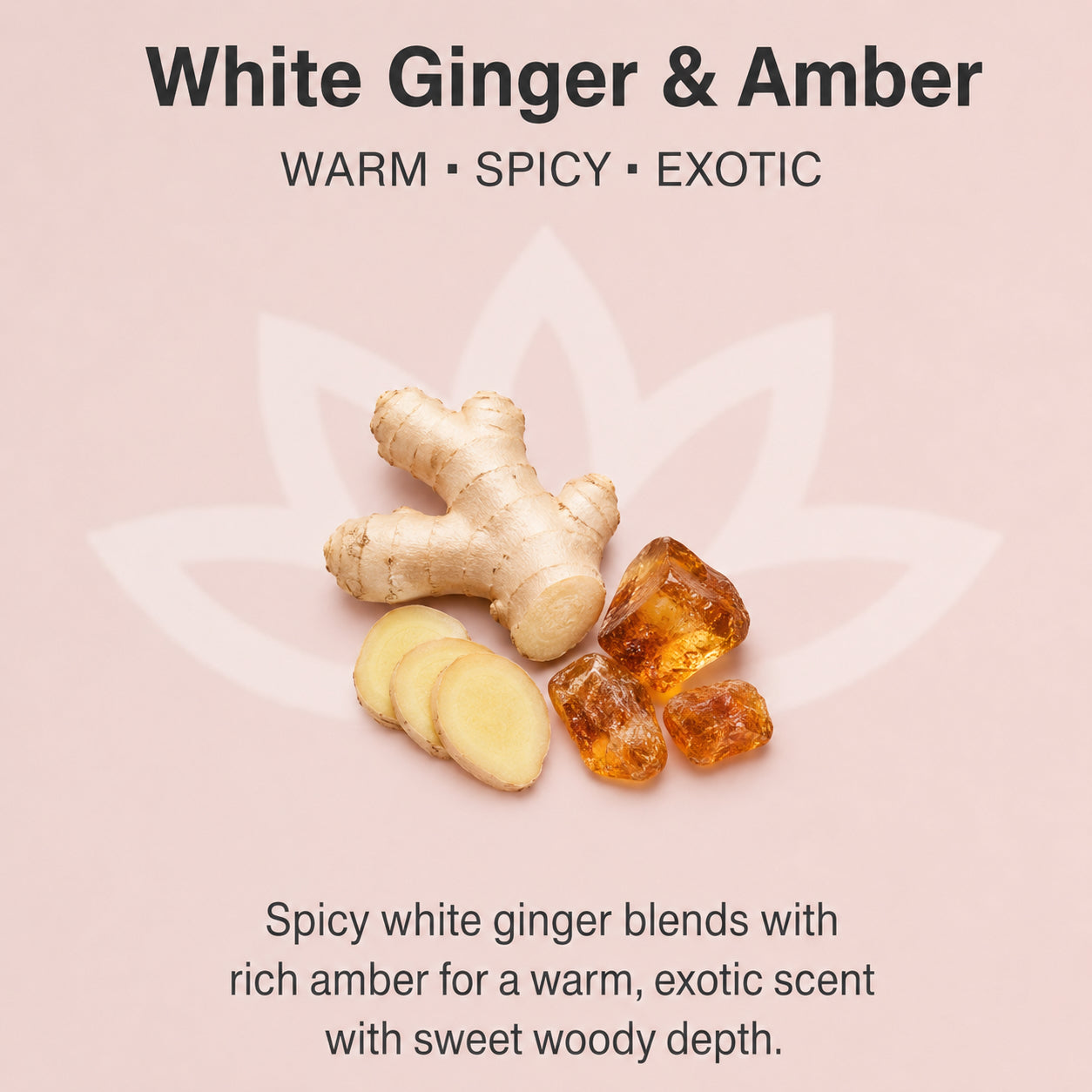 Organic Whipped Body Butter for Extremely Dry Skin 8 oz.