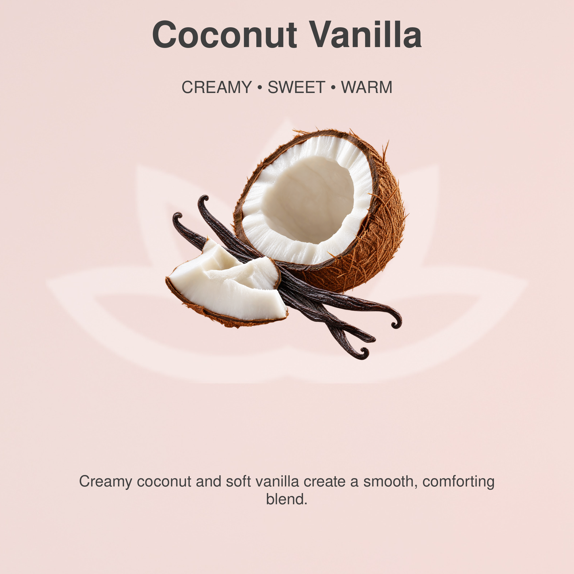 Organic Whipped Body Butter for Extremely Dry Skin 8 oz.