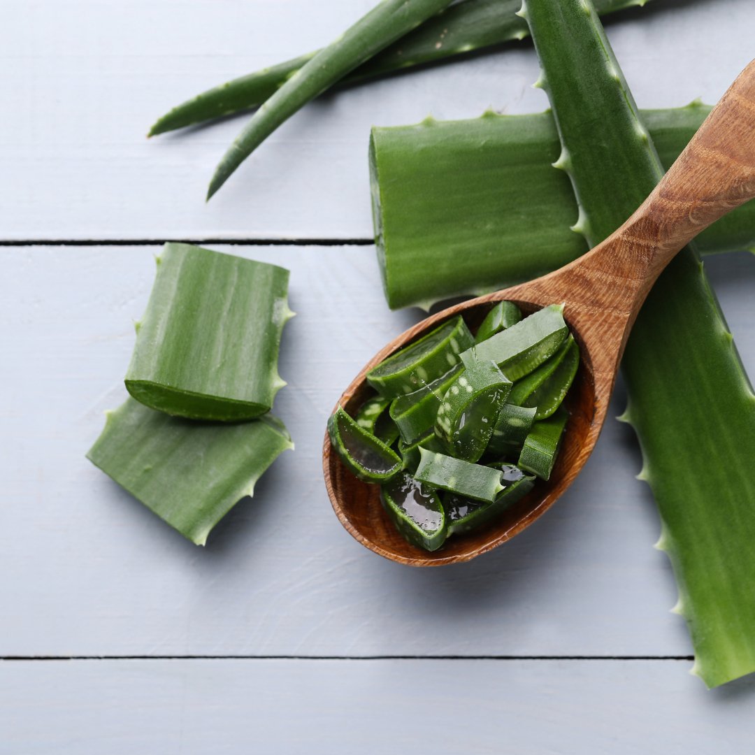 How Aloe Vera Can Reduce Dark Circles under Your Eyes - Glimmer Goddess® Organic Skin Care