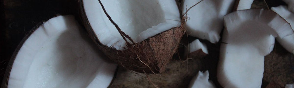 Coconut oil and eczema guide explaining moisturizing benefits, limitations, and safe skin-care use.