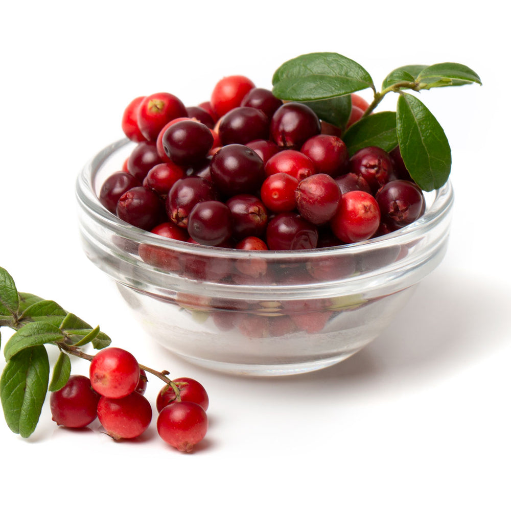 Fresh bearberry fruit with green leaves in a glass bowl on white background
