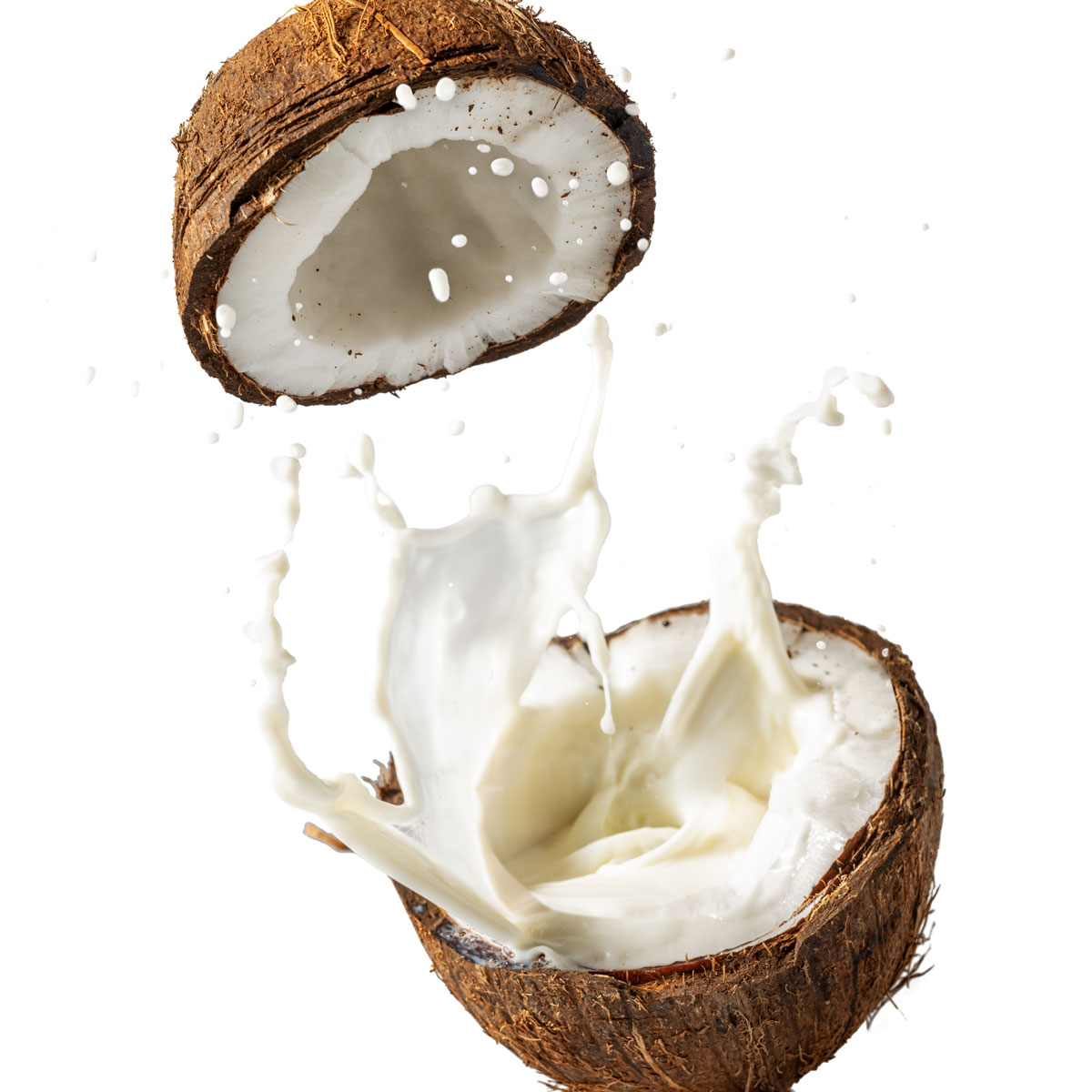 Coconut