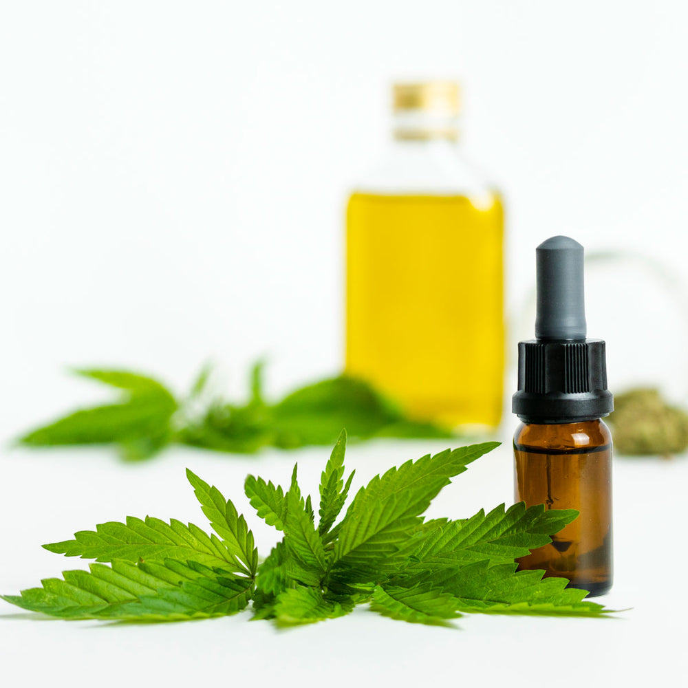 Hemp leaves with amber dropper bottle and yellow oil jar, organic skincare ingredients