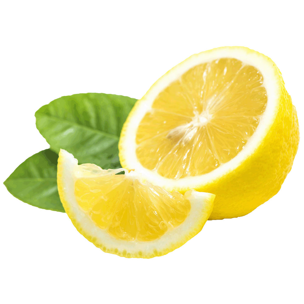 Fresh lemon slices with green leaves on a white background, natural skincare ingredient