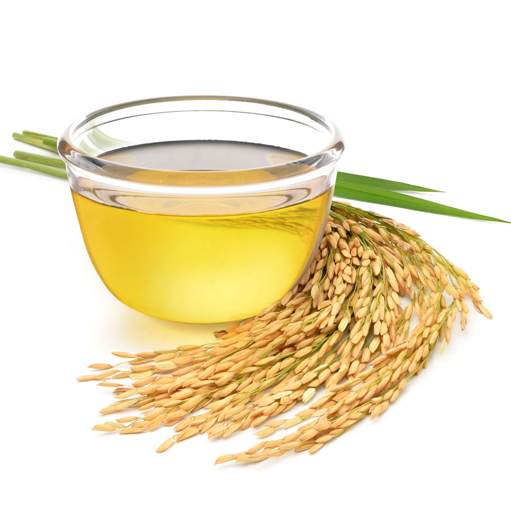Glass bowl of rice bran oil with raw rice stalks on white background, natural skincare ingredient
