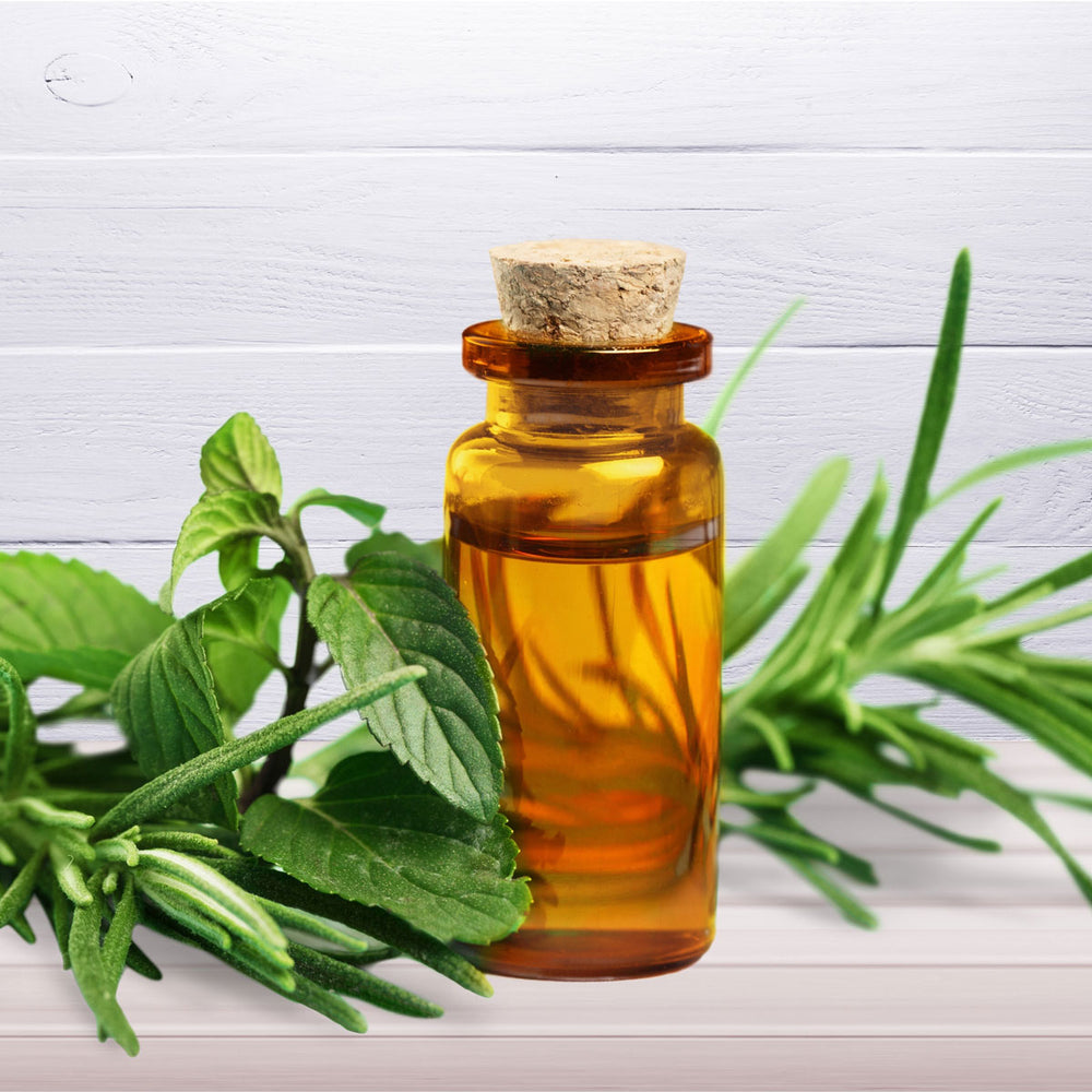 Amber glass bottle of tea tree essential oil with fresh green tea tree leaves on white wooden background