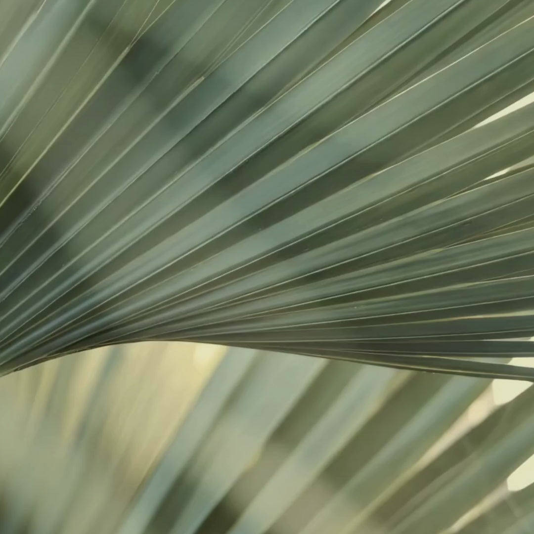 How to apply eye serum correctly - proper technique for instant firming and anti-aging benefits
