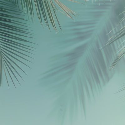 Self Tan Drops with DHA application tutorial - how to use customizable tanning drops for face and body
