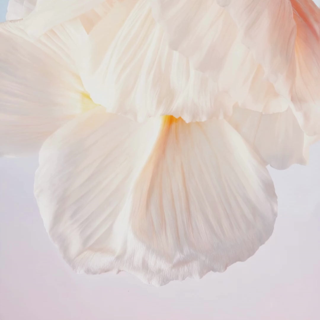 Pumpkin AHA Mask results - before and after showing reduced wrinkles and glowing skin
