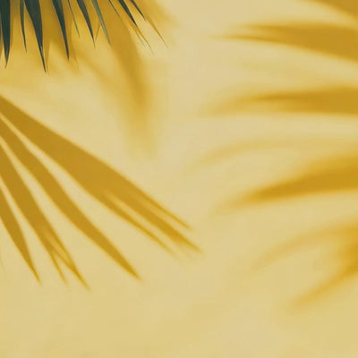 Whipped Shea Body Butter texture demonstration - rich, creamy formula in travel-friendly size
