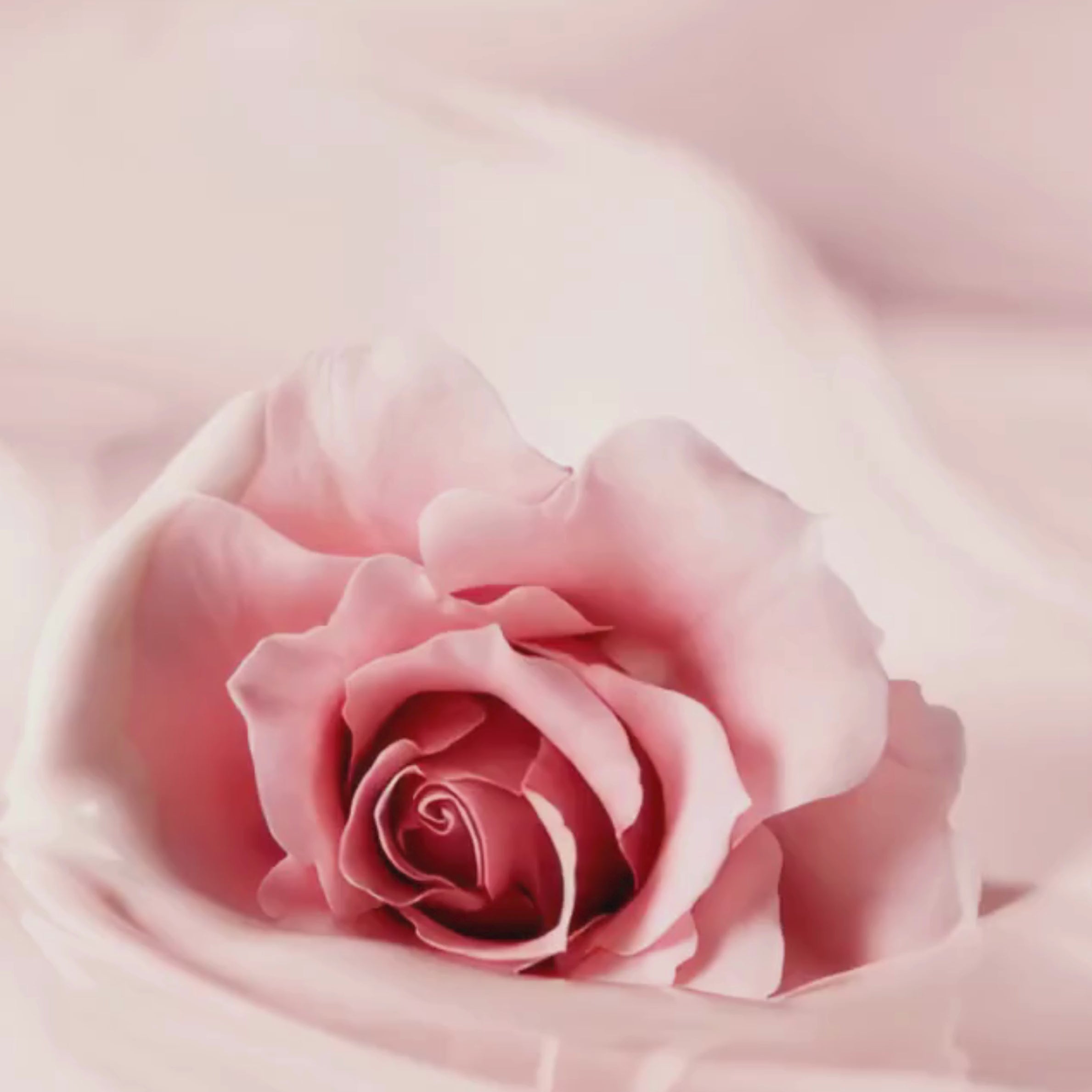 Acne Serum application tutorial - how to use oil control serum for breakouts and blemishes
