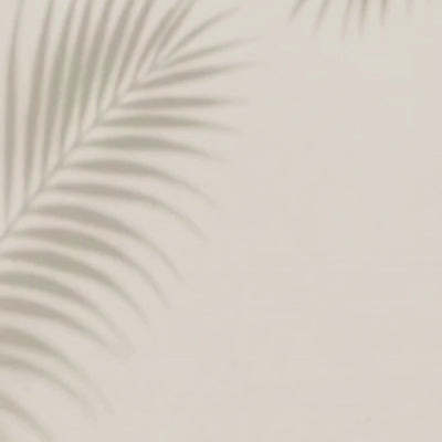 Facial Massage Oil texture and absorption - lightweight formula with sweet almond and rosehip
